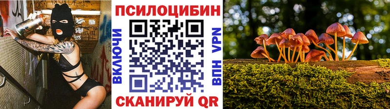 Псилоцибиновые грибы мицелий  Гдов 